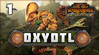 THE HIDDEN HUNTER RISES Total War Warhammer 2  Oxyotl  Lizardmen Mortal Empires Campaign 1 [upl. by Ariayek]