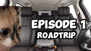 CAT MEMES FAMILY ROADTRIP COMPILATION [upl. by Joliet]