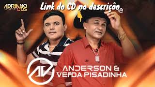 Anderson dos Teclados e o Véi Pisadinha  CD Novo 2019  Ao Vivo  CD Completo [upl. by Riamu]