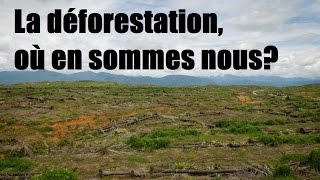 LA DÉFORESTATION [upl. by Siskind]