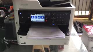 EPSON WFC5790 COM BULK [upl. by Leonie]