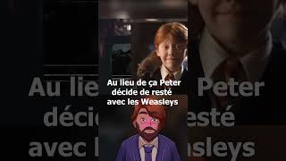 Harry Potter  Peter le schlag [upl. by Darcy]