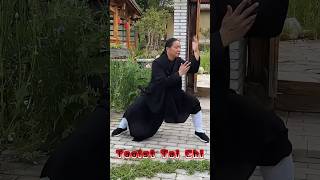 Taoist master Wudang Tai Chi teaching impressive martialarts kungfu fitness [upl. by Aremmat]