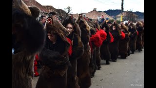 Jocul Ursului lu Gavrilă din Asău [upl. by Island]