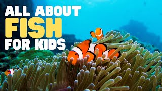 All about Fish for Kids  Learn the characteristics of fish  What is a fish [upl. by Powder]