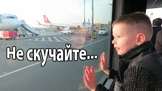 VLOG Перелет в 27 недель  Клим говорит по английски [upl. by Rozek924]