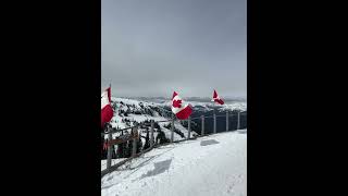 Whistler mountain [upl. by Trebleht168]