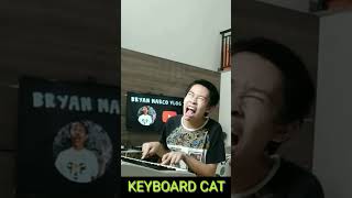 KEYBOARD CAT MEME [upl. by Drawde]