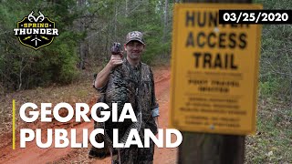 Georgia Public Turkey Hunting  Midday Gobbler  Realtrees Spring Thunder [upl. by Silirama833]