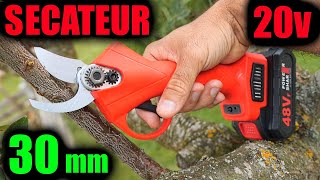 sécateur sans fil 20V de jardin à batterie Aliexpress Amazon 30mm 20V type Bosch EasyPrune [upl. by Nelrsa]