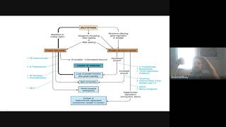 32 Exemplos de herança dominante neurofibromatose 1 e acondroplasia [upl. by Irep904]