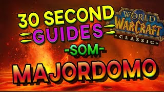 Majordomo Executus  Molten Core  SoM  30 Second Guides [upl. by Euqinoj]