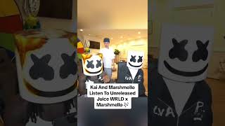 Kai Cenat amp Marshmello listen to unreleased Juice WRLD x Marshmello 🎶 [upl. by Aerbma]