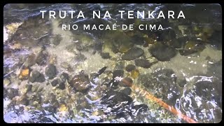 Truta na Tenkara  Rio MacaÃ© de Cima [upl. by Seymour]