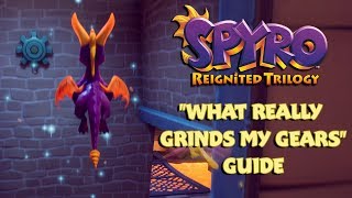 Spyro Reignited quotWhat Really Grinds My Gearsquot Guide [upl. by Nyra]