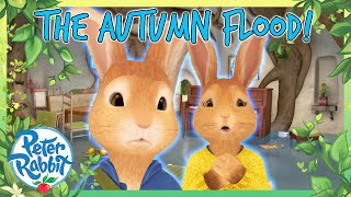 OfficialPeterRabbit  🍂💦 The Autumn Flood 💦🍂  Autumn Adventures  Cartoon for Kids [upl. by Namas]