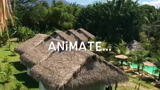 Coconut Tarapoto  Eco Bungalows amp Lagoon Pool [upl. by Arries]