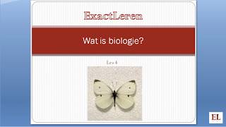 Wat is biologie Levenscyclus koolwitje [upl. by Ahsiral]