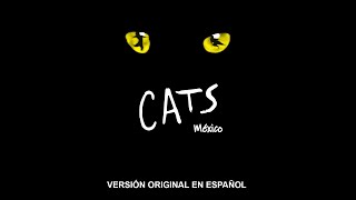 CATS México 1991 Soundtrack [upl. by Azmah783]