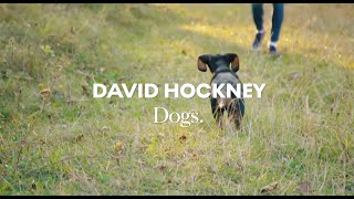 Dogs David Hockney [upl. by Inus]