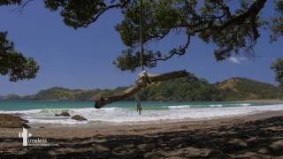 Swing into Summer Part 1  Cinemagraph Art [upl. by Eivla]