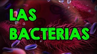 El Mundo Invisible  Las Bacterias [upl. by Inig410]