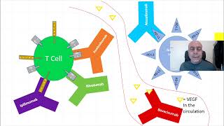 Monoclonal antibodies nomenclature [upl. by Arnon]