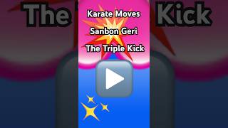 Karate Moves Sanbon Geri  The Triple Kick striking martialarts karate kicking [upl. by Yma]