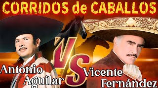 VICENTE FERNANDEZ y ANTONIO AGUILAR CON TAMBORA  MIX PUROS CORRIDOS DE CABALLOS [upl. by Tiemroth156]