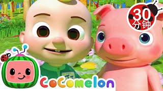 动物舞蹈歌  大合集  經典熱門兒歌  Kids Song  動畫  童謠  儿童学习  卡通片  CoComelon 中文  Nursery Rhymes [upl. by Nallaf958]