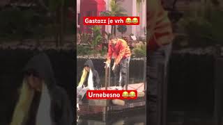 Gastozz je vrh elita8 funny zadruga6 miljanakulic elita gastozz [upl. by Latoye117]