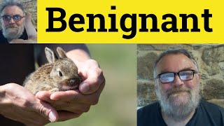 😎 Benignant Meaning  Benignant Definition  Benignant Examples  Describing People  Benignant [upl. by Kester]