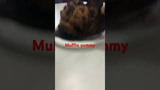 Muffin music song muffins [upl. by Attelrahs412]