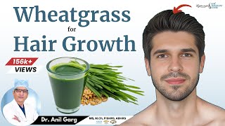 Wheatgrass Benefits amp How to consume it  Wheatgrass Benefits For Hair Growth  Wheatgrass For Hair [upl. by Daryn428]