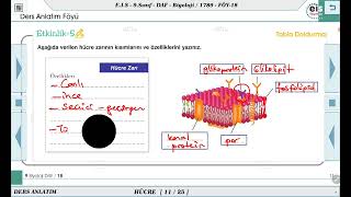 9 Sınıf Biyoloji  Hücre Ünite Tekrar  7 🔬 [upl. by Paucker]