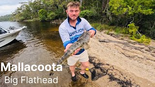 Catching Big Flathead  Mallacoota day 1 [upl. by Davita]