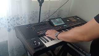 Ceca Maskarada Korg Pa5x Elvis ASH [upl. by Clea]