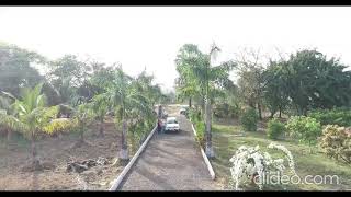 Land for sale in Alibaug  Awas  Tekali plot 113 guntha [upl. by Aset]