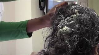 Matted Hair Detangler TAKE DOWN Review  How To  Tutorials [upl. by Dorrahs]