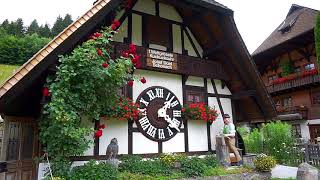 นาฬิกานกกาเหว่าที่ใหญ่ที่สุดในโลก Worlds Largest Chuckoo clock Black forest  Schwarzwald [upl. by Ayoj879]