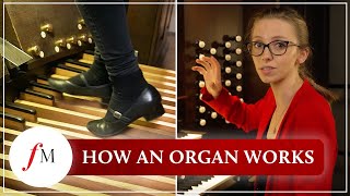 How does a pipe organ actually work  Anna Lapwood  Classic FM [upl. by Russi]