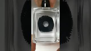 Ferrofluid Slow Motion [upl. by Magulac]