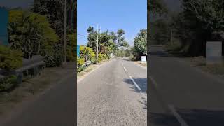 Alone Bt Happy 😌 travel nature viralvideo love tranding reels himachalpradesh [upl. by Bobbette]