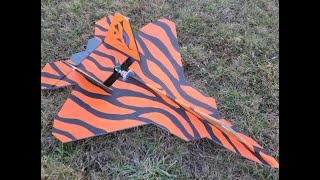 Walkaround and description of RC Profile F22 mid mounted pusher from TOMHEnet built with foamboard [upl. by Swagerty11]