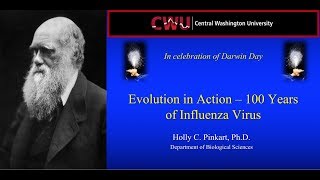 Evolution in Action 100 Years of Influenza Virus Dr Holly Pinkart Darwin Day 2018 [upl. by Tigges]