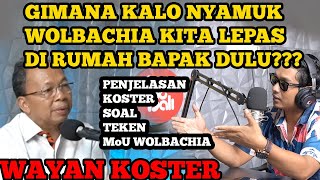 DISERANG NETIZEN‼️KOSTER ANGKAT BICARA SOAL TEKEN MoU PELEPASAN JUTAAN NYAMUK WOLBACHIA DI BALI [upl. by Ainavi]