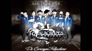 quotSolo Y Tristequot  Alacranes Musical Ft Conjunto Atardecer [upl. by Curhan]