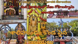 12వ శతబ్దానికి పురాతన దేవాలయం🛕srikakulamhistoryజైశ్రీరామ్devotionaltemplesradakrishna [upl. by Gavin]