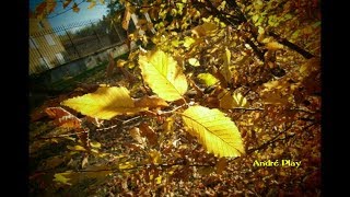 la froideur dune journée dautomne octobre 2017 à Firminy [upl. by Neahs]