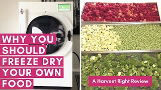 Why You Should Freeze Dry Your Own Food  A Harvest Right Freeze Dryer Review [upl. by Babbette]